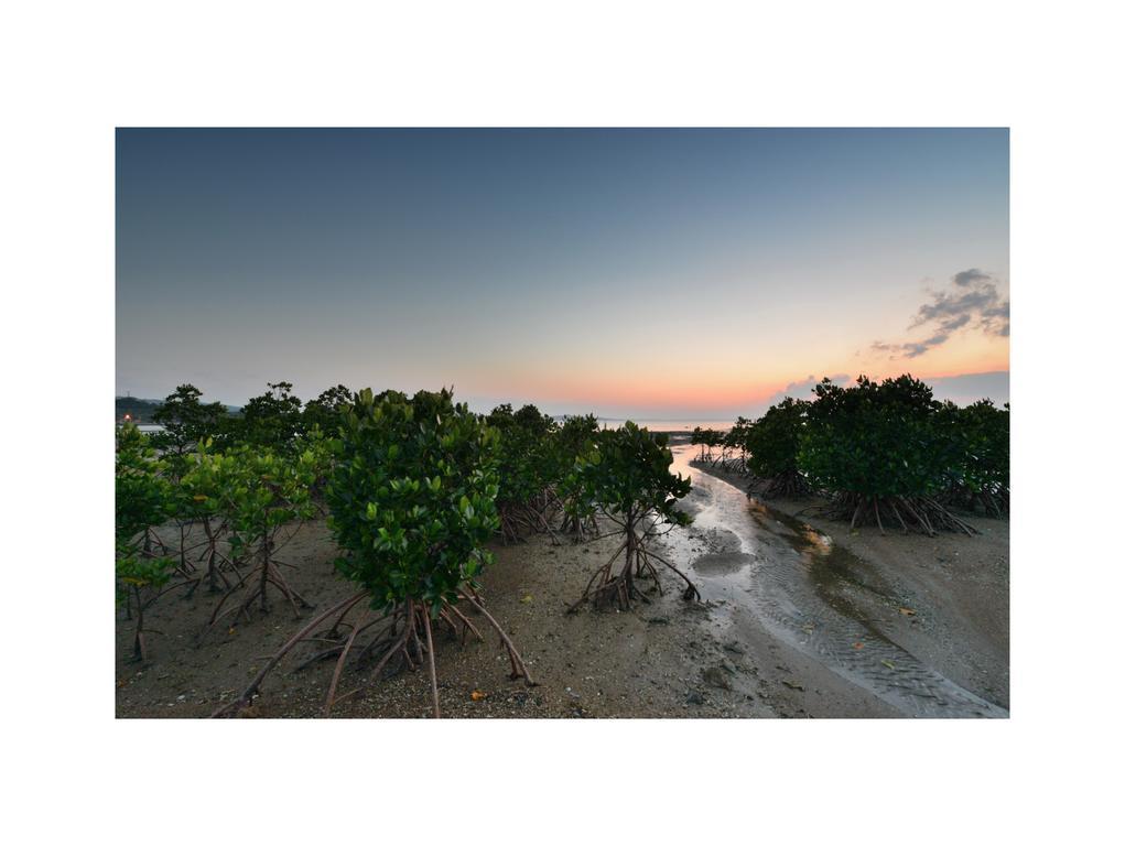 Oceanview Yui Hotel Ishigaki  Eksteriør billede